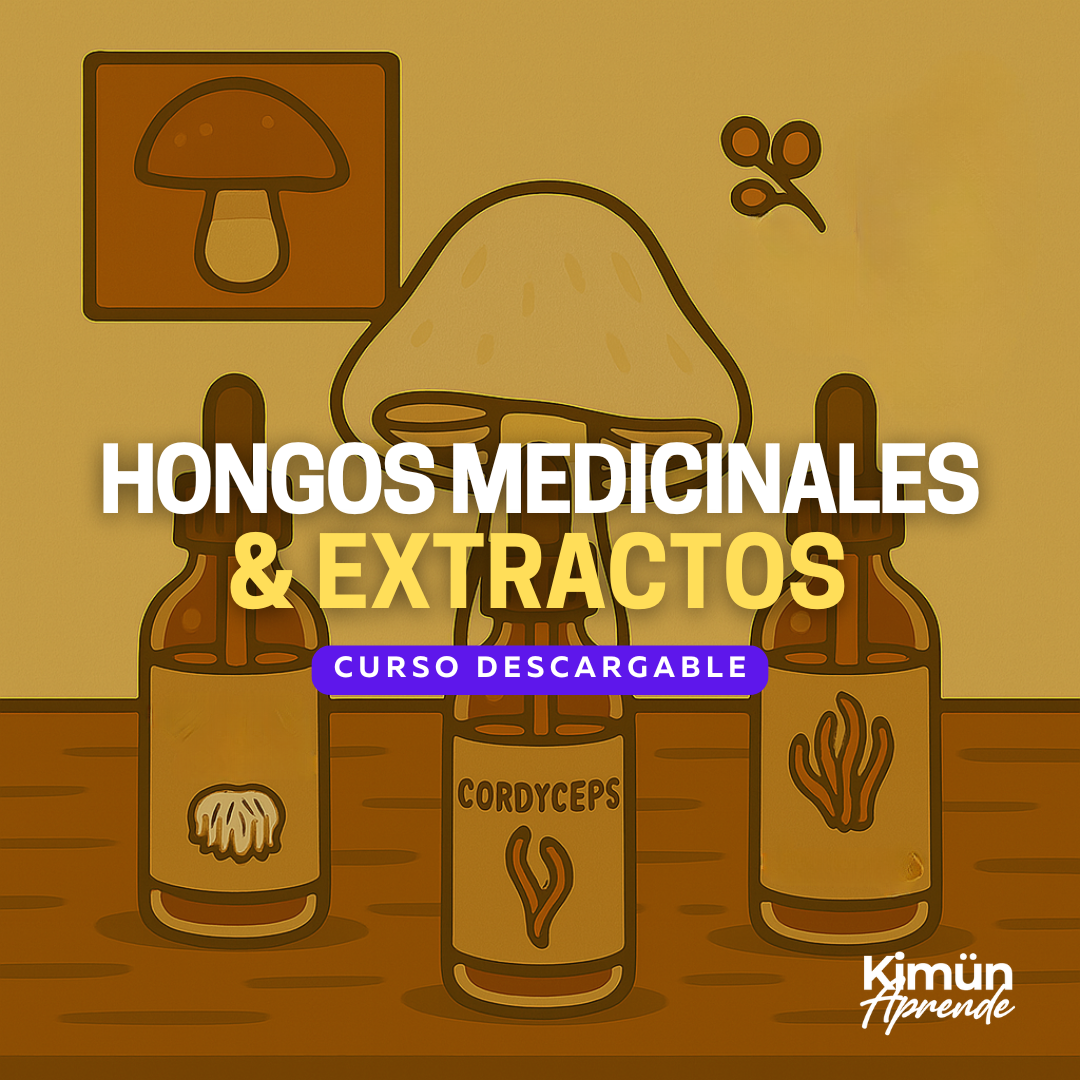 REINO FUNGI III – Hongos Medicinales y Extractos