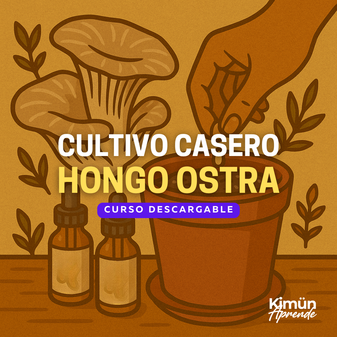 CULTIVO CASERO DE HONGOS – Pleurotus ostreatus (Hongo ostra)