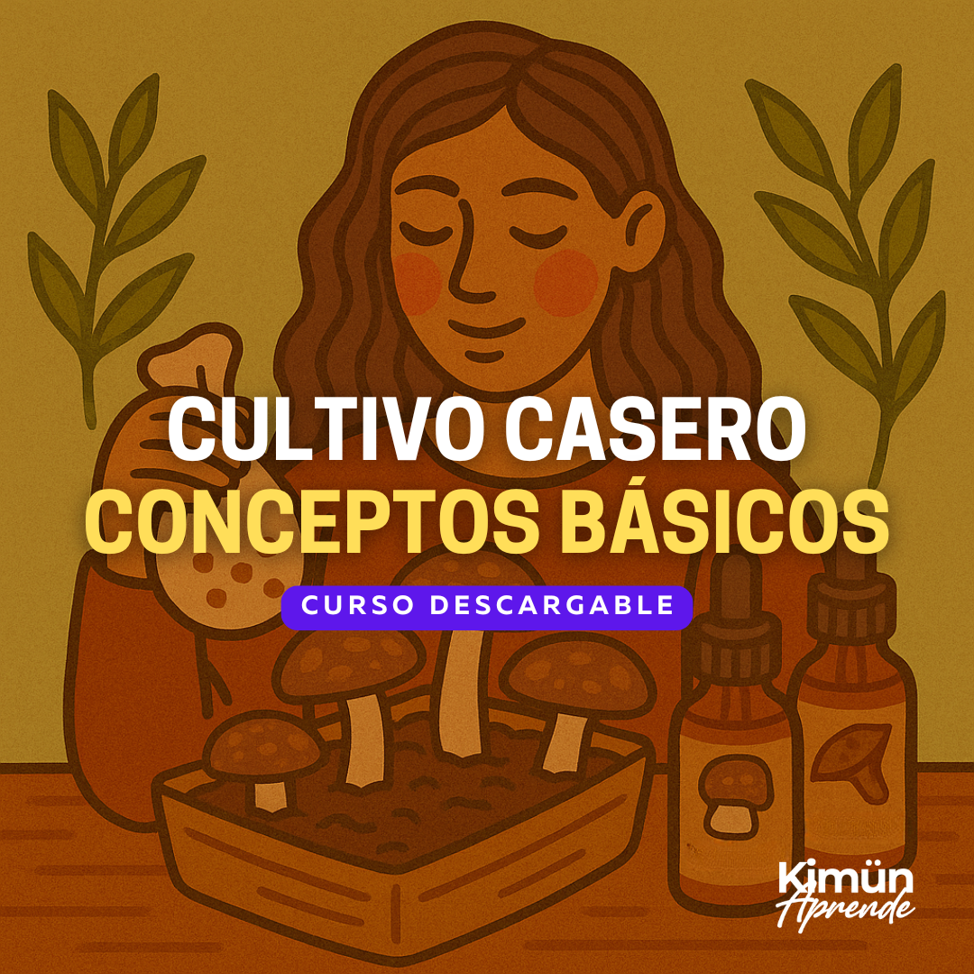 CULTIVO DE HONGOS EN CASA – Conceptos Básicos y Espacio de Cultivo