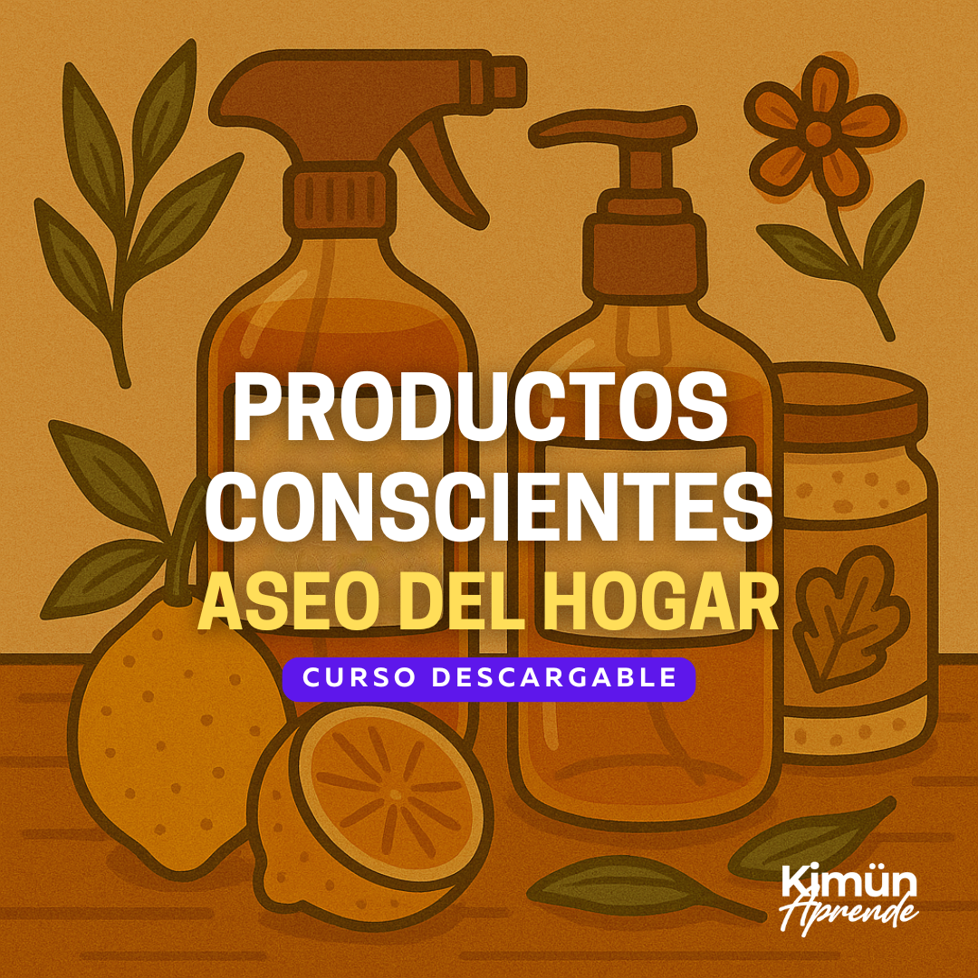 ASEO DEL HOGAR CON PRODUCTOS CONSCIENTES