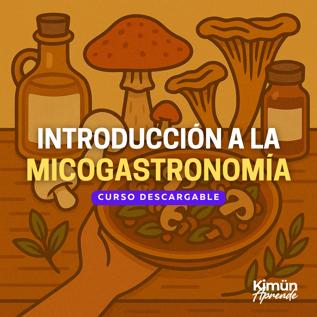 REINO FUNGI I – Introducción a la Micogastronomía