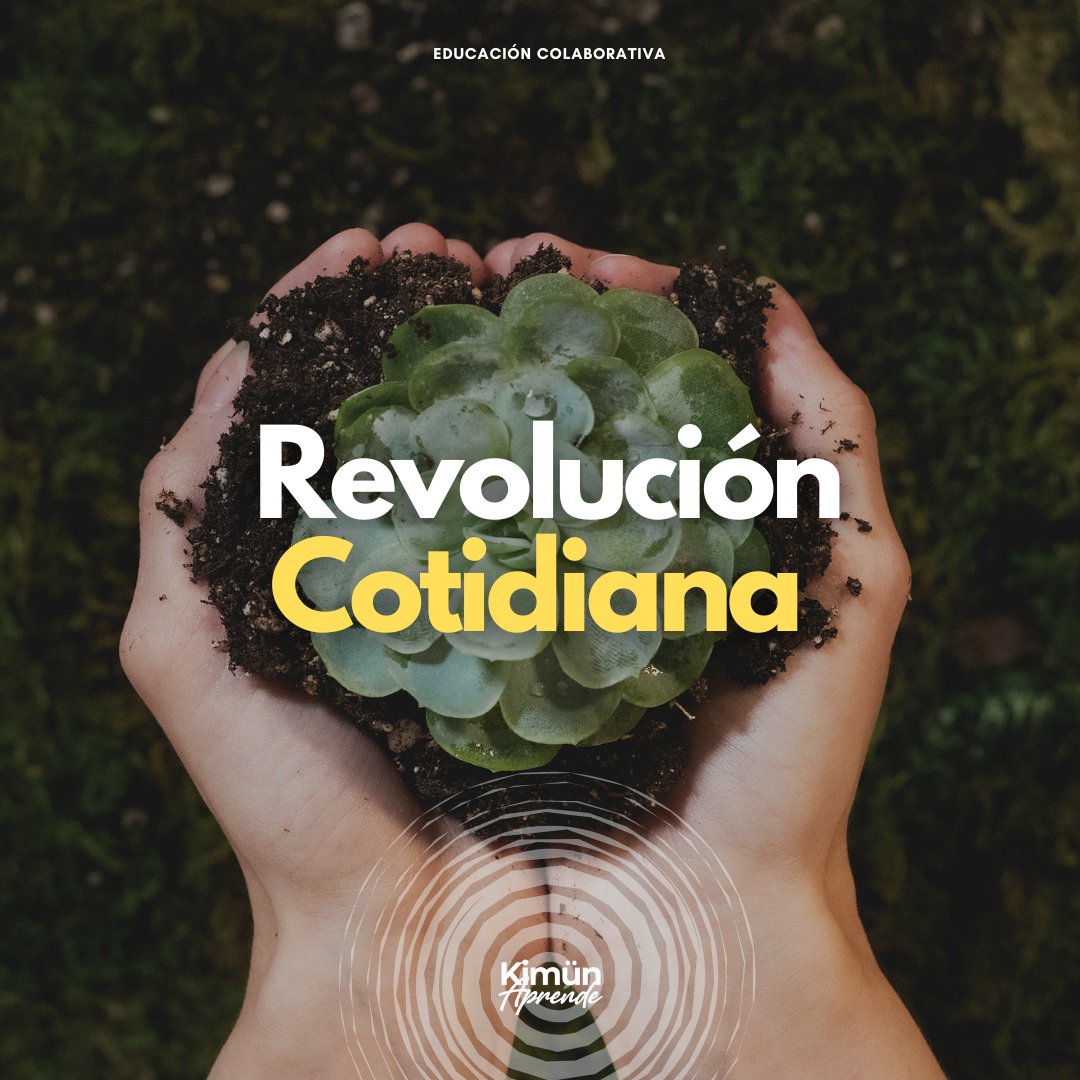 REVOLUCIÓN COTIDIANA