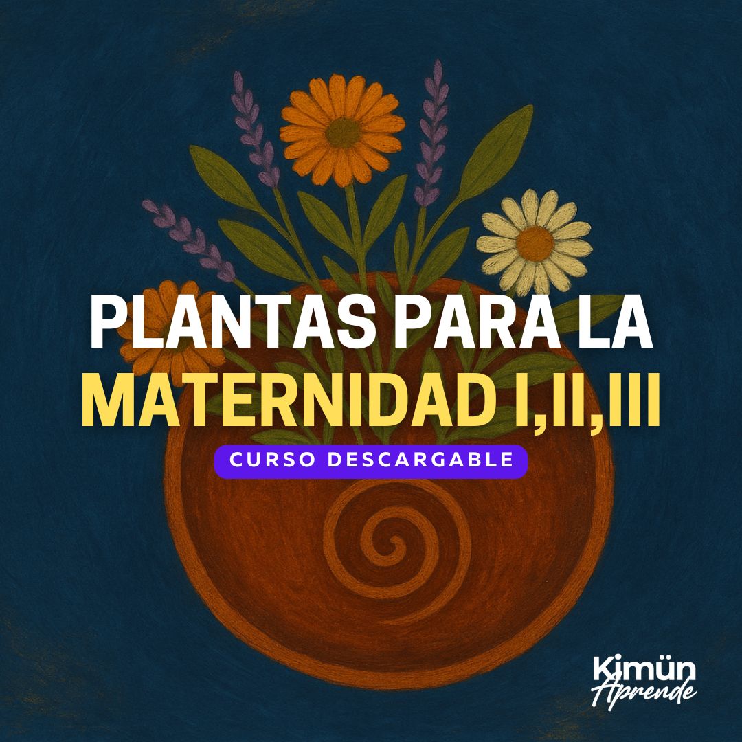 PACK PLANTAS PARA LA MATERNIDAD (3 CURSOS DESCARGABLES)