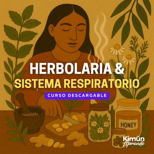 HERBOLARIA Y SISTEMA RESPIRATORIO – Medicina natural para respirar mejor