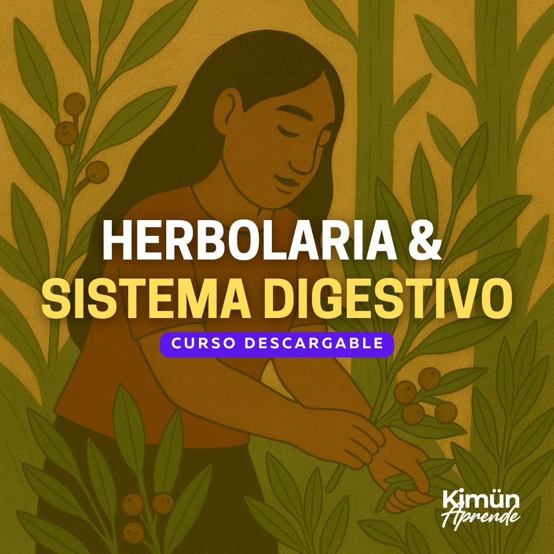 HERBOLARIA Y SISTEMA DIGESTIVO – Cuidado natural del cuerpo desde el interior