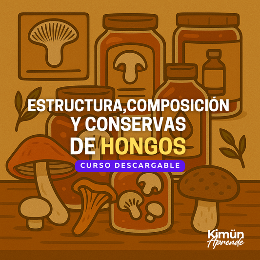 REINO FUNGI II – Estructura, Composición y Conservas de Hongos