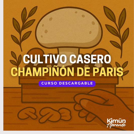 CULTIVO CASERO DE HONGOS – Agaricus Bisporus (Champiñón de París)