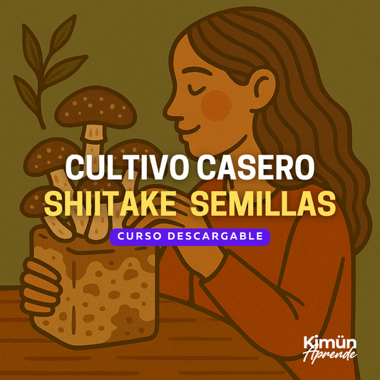 CULTIVO CASERO DE HONGOS  – Shiitake desde Semillas
