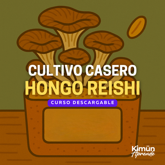 CULTIVO CASERO DE REISHI – Hongos Medicinales desde Casa