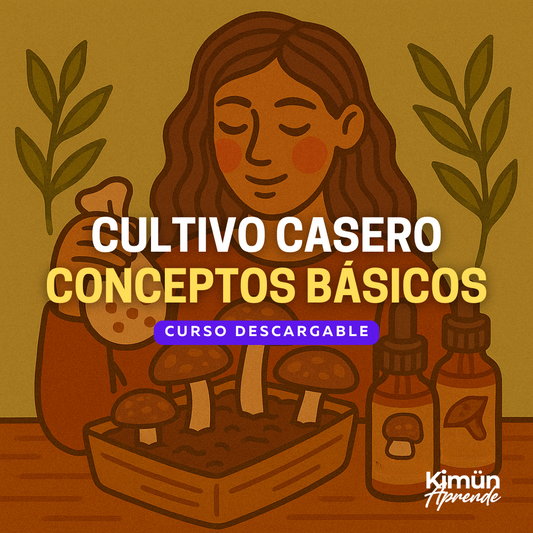 CULTIVO DE HONGOS EN CASA – Conceptos Básicos y Espacio de Cultivo