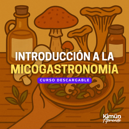 REINO FUNGI I – Introducción a la Micogastronomía