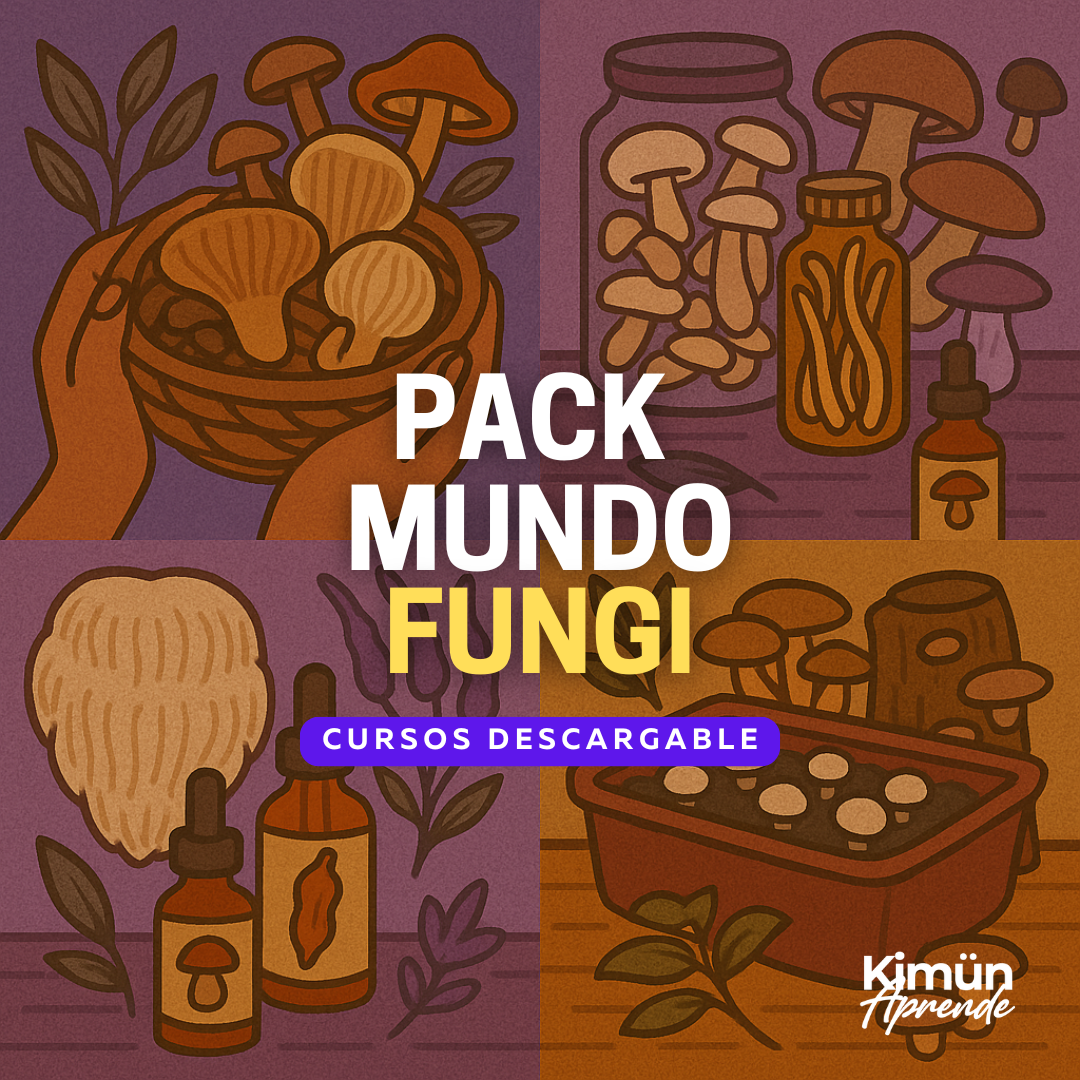 PACK COMPLETO MUNDO FUNGI (10 CURSOS DESCARGABLES)