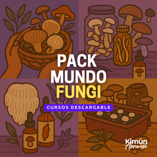 PACK COMPLETO MUNDO FUNGI (10 CURSOS DESCARGABLES)